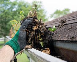 Cleaning gutters during the summer time.