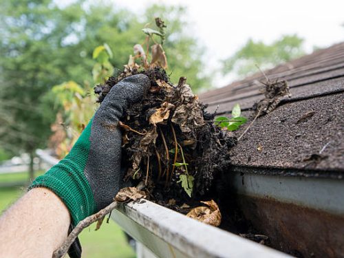Cleaning gutters during the summer time. Cleaning gutters during the summer time.